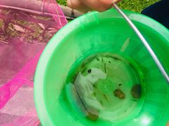 -桤木河湿地公园