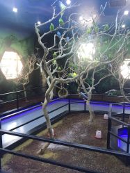 -未来动物城动物主题公园(大悦城店)