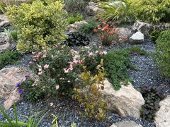 -绿洲雅宾利花园