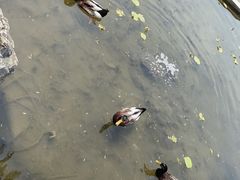 -丰台花园
