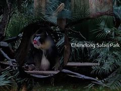 -广州长隆野生动物世界