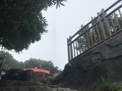 -深圳仙湖植物园
