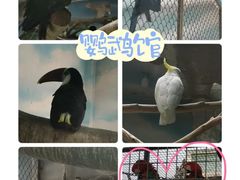 -石家庄市动物园