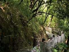 -广州白江湖森林公园