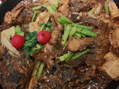 -老板恋上鱼(环山路店)