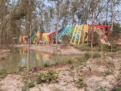 -合肥滨湖国家森林公园