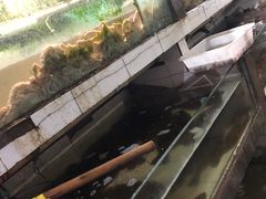 -石塘路海鲜市场(草厂中路店)