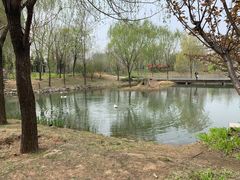 -河南财经政法大学(郑东校区)