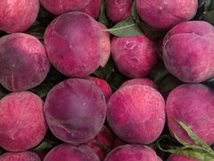 -果叔(红旗街店)