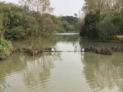 -溱湖国家湿地公园