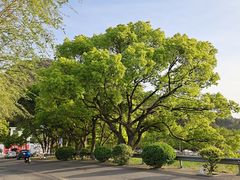 -东钱湖旅游度假区