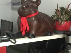 -暖阳宠物医院·犬猫康复中心·骨科