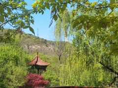 -大连植物园