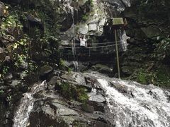 -藏龙百瀑风景区