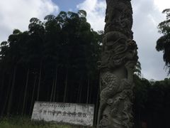 -天下银坑