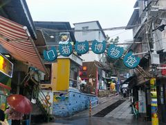 -猫咪博物馆(顶澳仔猫街店)