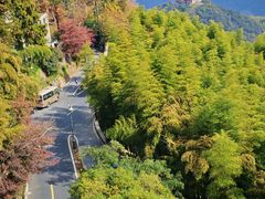 -莫干山风景区