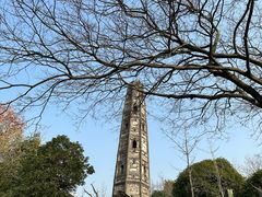 -上海佘山国家森林公园天马山园