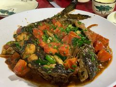 -生态苑农庄(十里画廊遇龙河店)