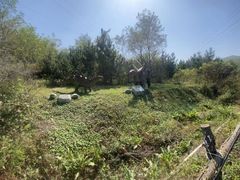 -大连铭湖国际观光牧场