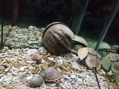 -梦幻海洋王国(吾悦广场张家港店)