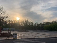 -星海湾跨海大桥