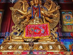 -大召寺明清一条街