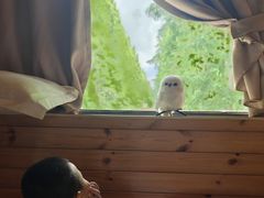 -黄海国家森林公园