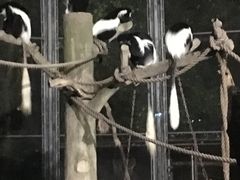 -野生动物园-停车场