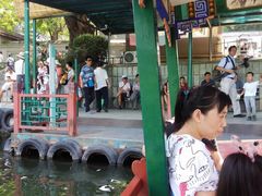 -紫竹院公园冰场