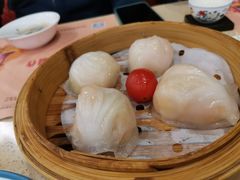 金牌虾饺皇-点都德(北京路贰店)