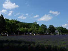 -富田农场