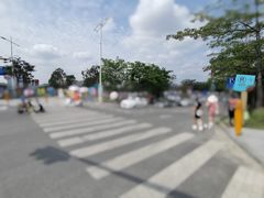-光明小镇欢乐田园