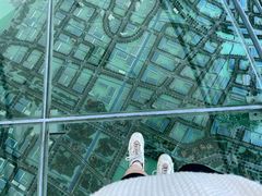 -上海吴淞炮台湾国家湿地公园