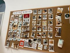 -是阿柴呀！柴犬咖啡·爱喵喵猫咖