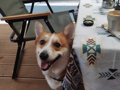 -YEEGIN COFFEE也径咖啡