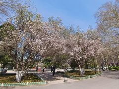 -山东师范大学(千佛山校区)