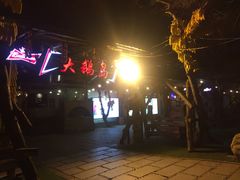 -大鹅岛绿色生态美食园