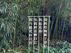 -云溪植物园