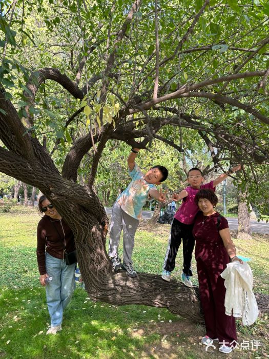 沈阳植物园图片