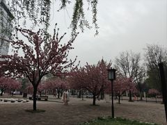 -唐城墙遗址公园