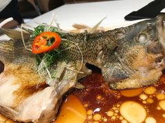 -至潮餐厅精致粤菜·活鲈鱼·走地鸡(珠江新城店)
