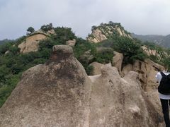 -大岭沟猕猴桃谷风景区