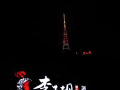 -李子坝梁山鸡(李子坝大鸡哥店)