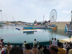 -秦皇岛乐岛海洋王国