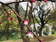 -贵阳市花溪国家城市湿地公园