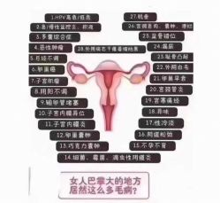 -香薇妮丝·定制减肥·身材管理