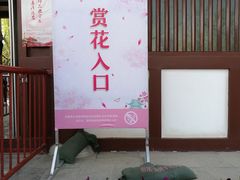 -西安青龙寺遗址景区