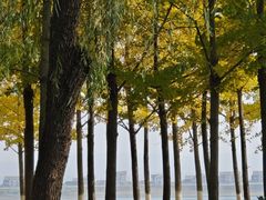 -辽东学院(南校区)