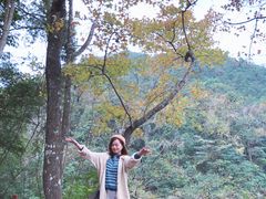 -广州市石门国家森林公园